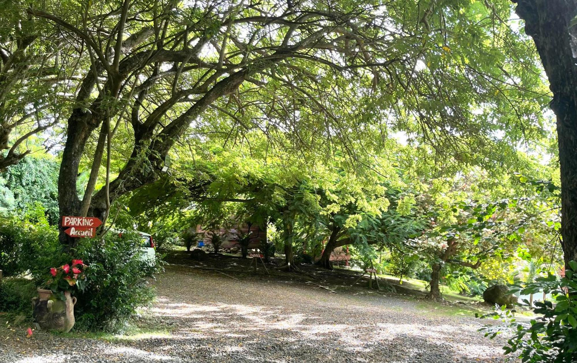 Tropicangel Ecolodge De Charme Pointe-Noire Extérieur photo
